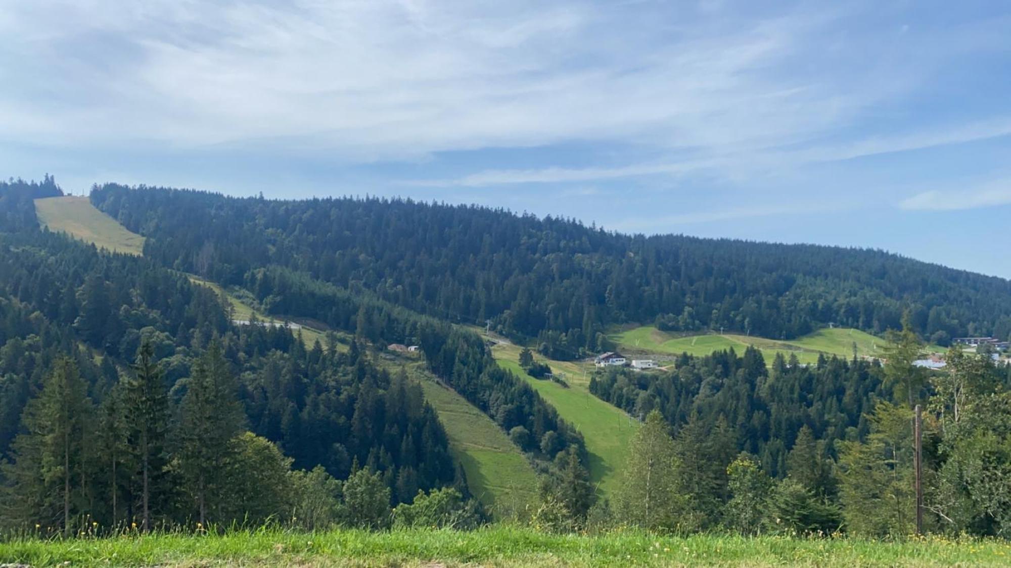 Appartement Sur Les Hauteurs De Gerardmer Gérardmer Exterior foto